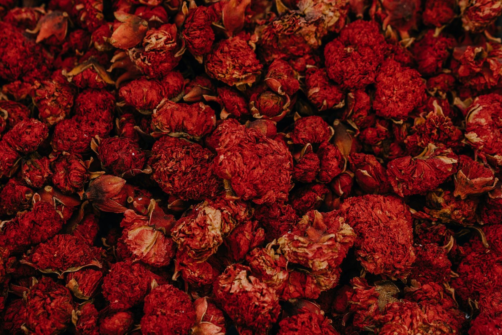 Image showing process of steeping dried red clover flowers to make tea