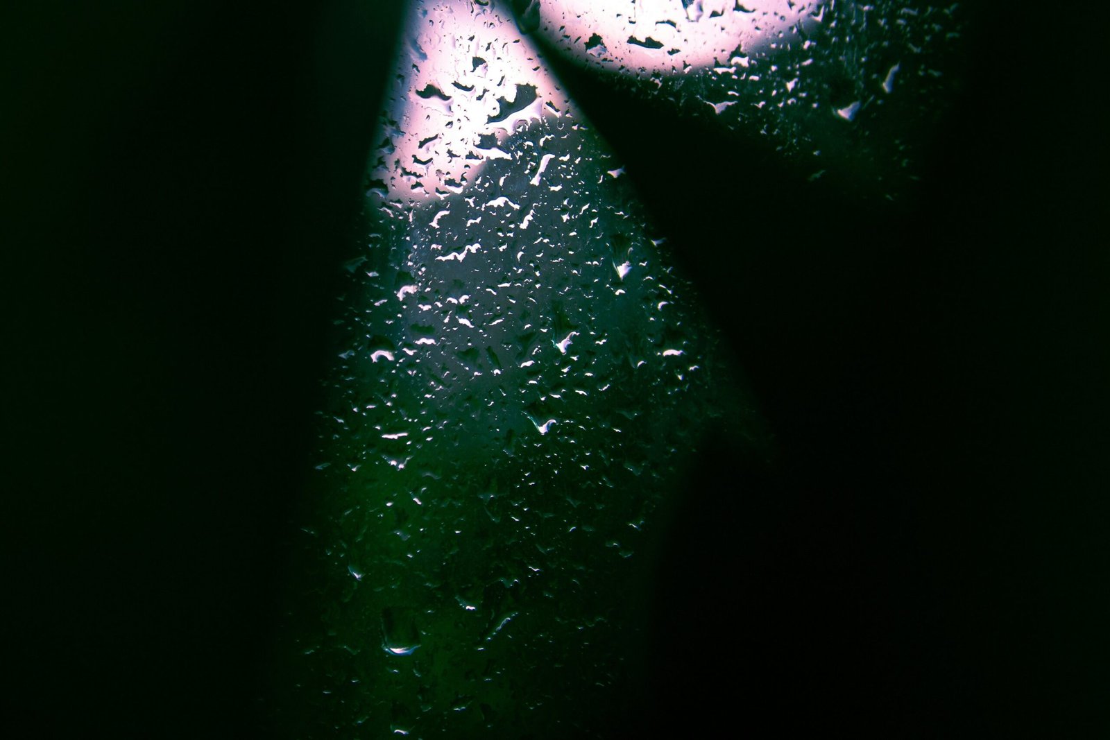 Red Clover Night Sweat Relief: The Natural Solution You’ve Been Missing