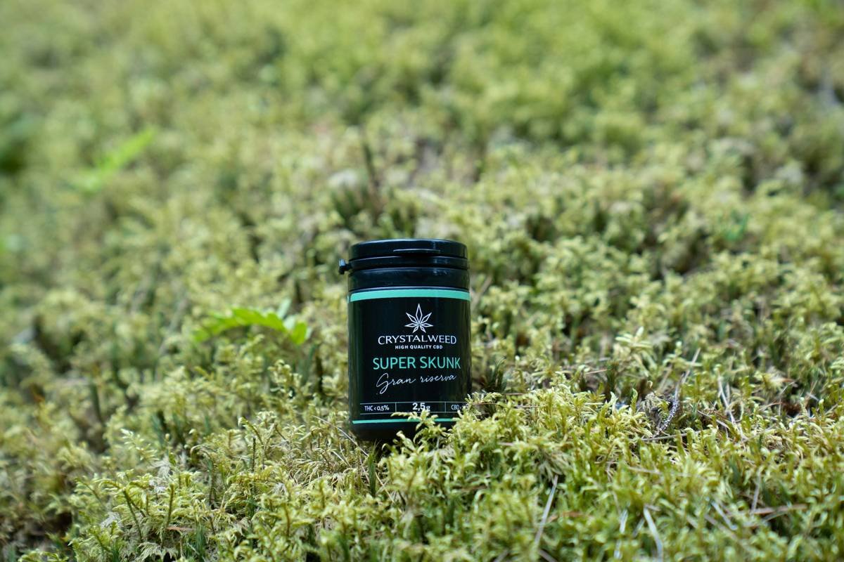A closeup of red clover flowers with green leaves