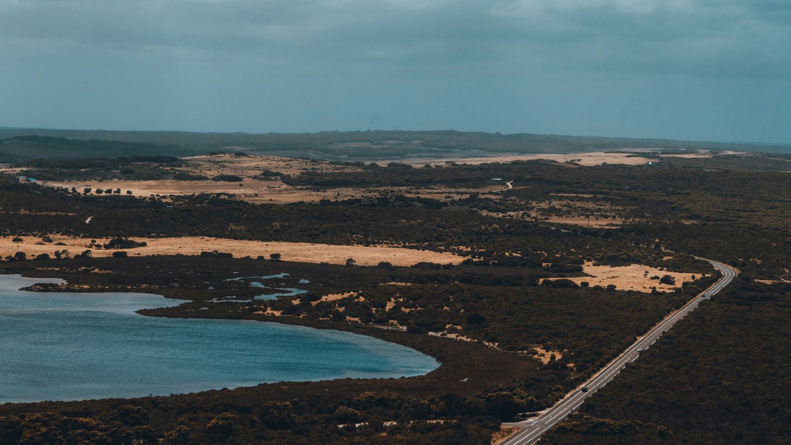 A comparison chart of organic vs non-organic red clover products highlighting key differences