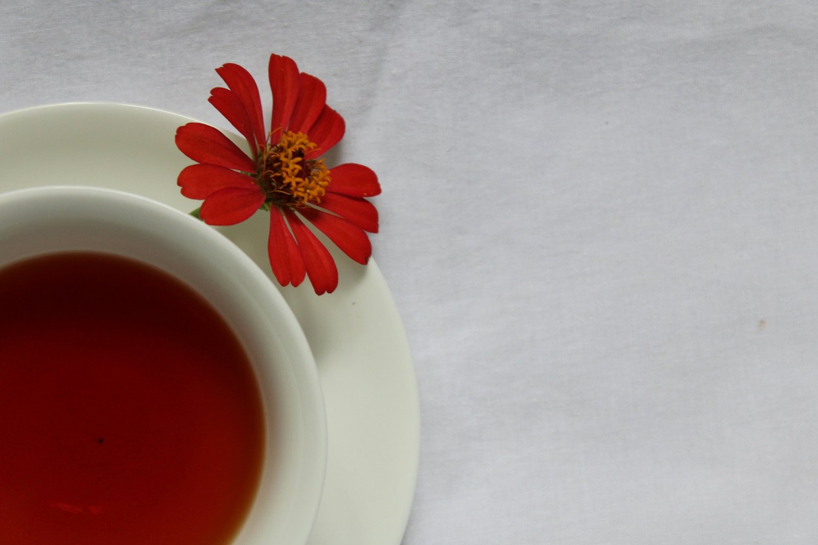 A steaming cup of red clover tea on a wooden table