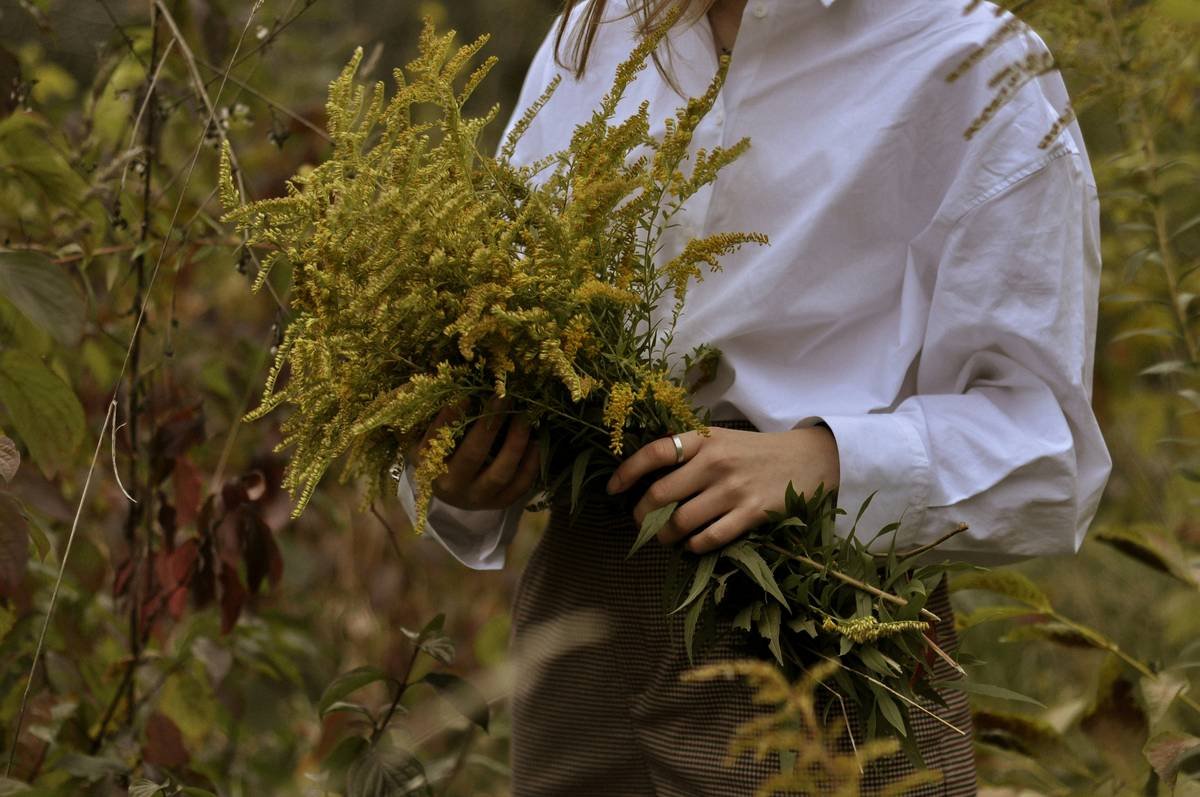 Unlock the Power of Red Clover Female Health: A Natural Path to Wellness