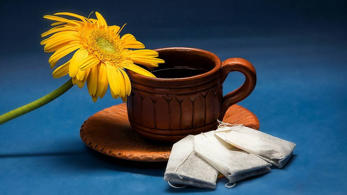 A close-up photo of purple red clover flowers against a green field background.