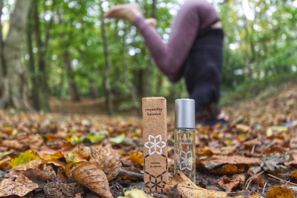 A close-up image of red clover flowers with dew drops glistening in sunlight.
